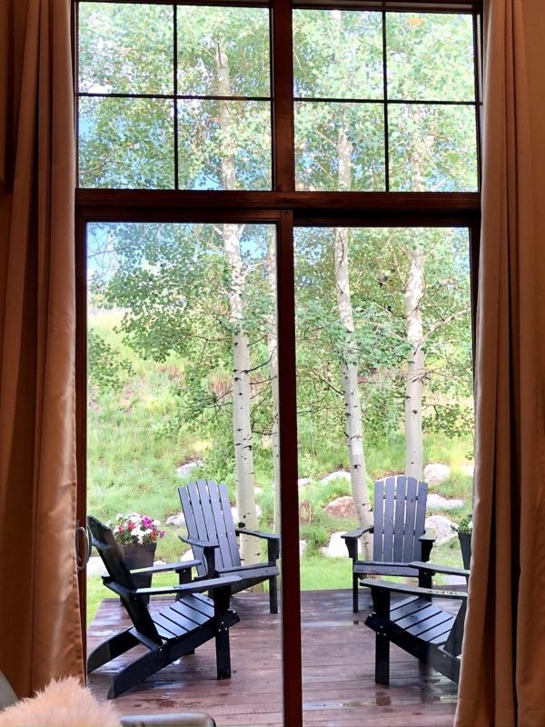 View out the backyard with floor to ceiling windows.