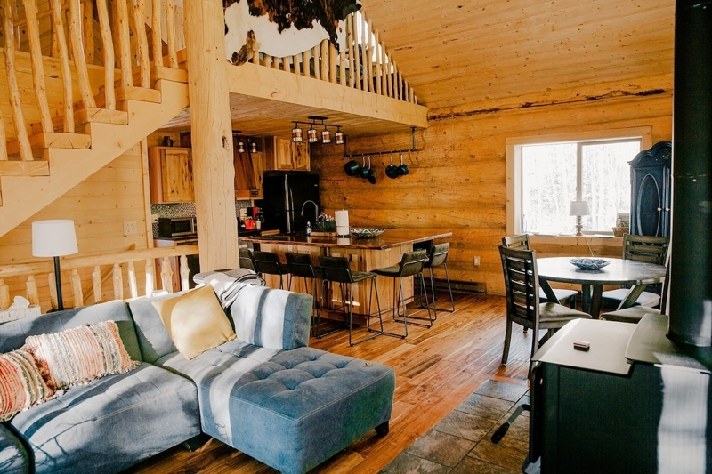 Monarch Hideaway-Cabin surrounded by aspens