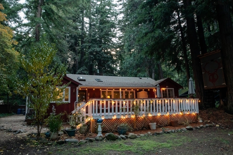 Peaceful Sanctuary in the Redwoods