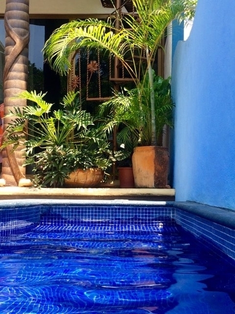 Casita Amore