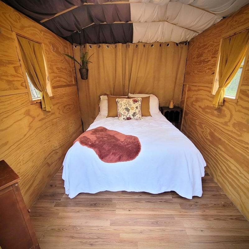 Forest Cabin on 20 Acres
