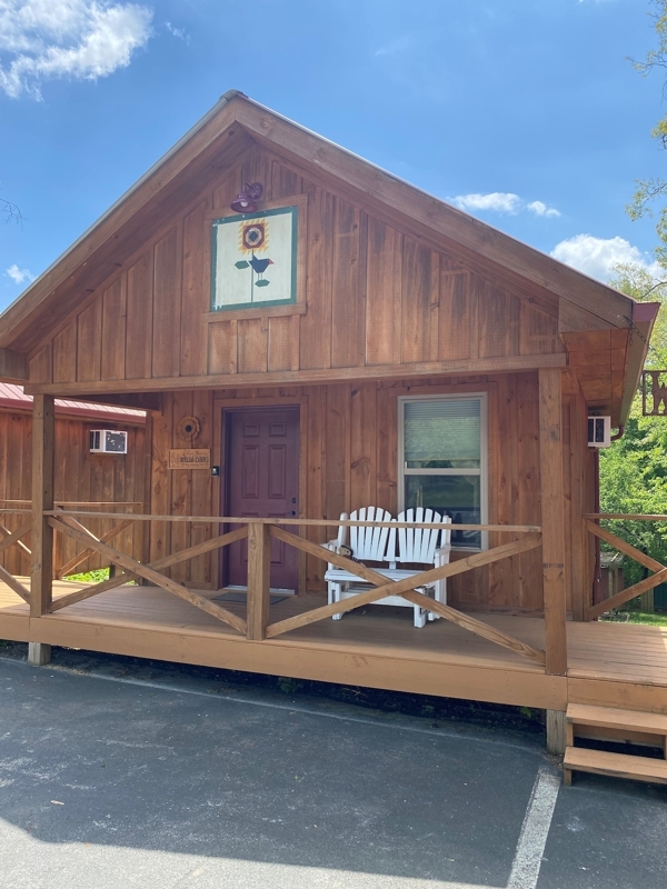 Sunflower Holler Cabin 2