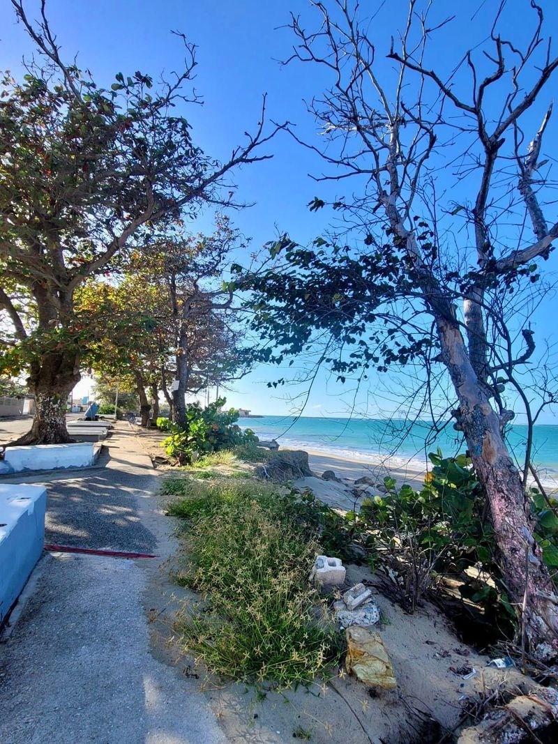 Sidewalk view of private community beach area. 