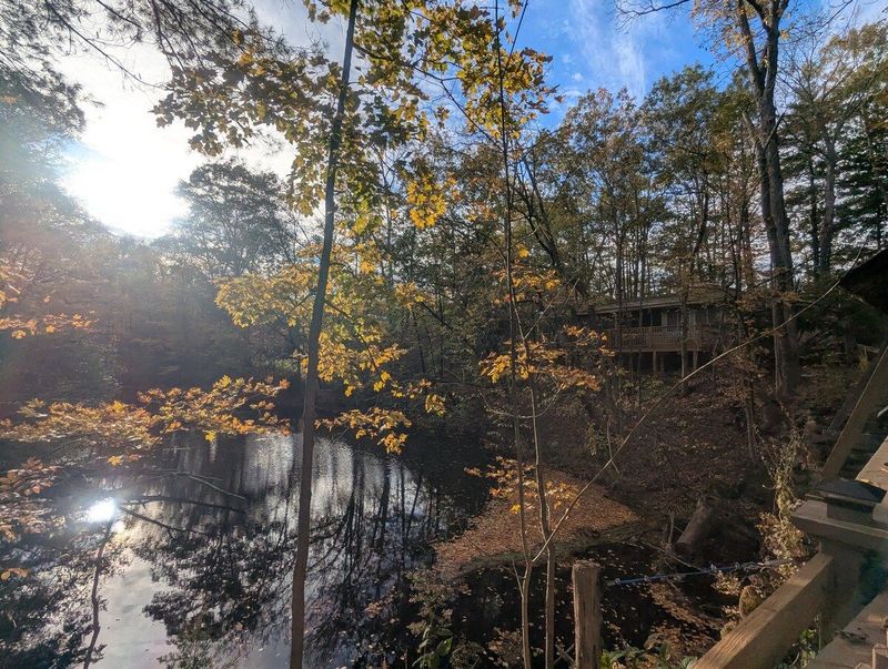 Hidden Cozy Waterfront Eco Cabin Nature Sanctuary