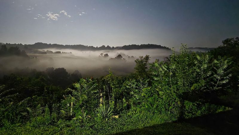 Beautiful Fall Views from
Wolf River Ridge @DHL