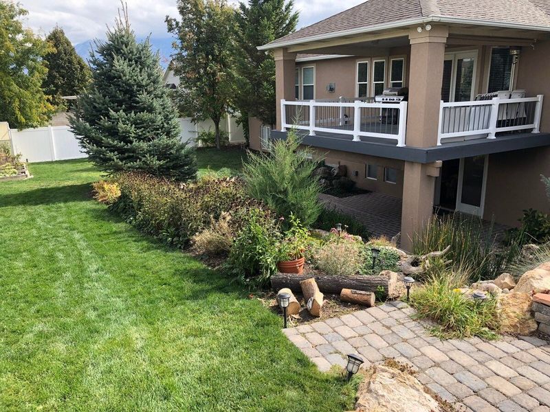 Lovely yard