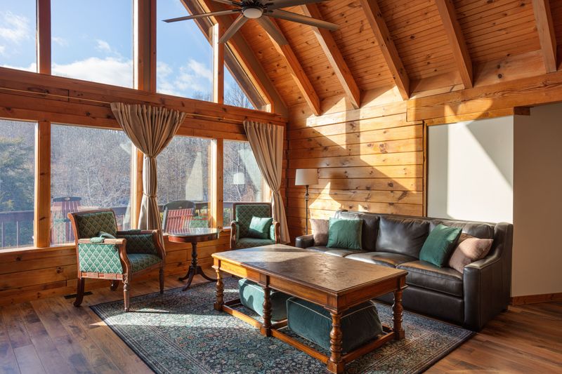 Sunlit cabin living room with vaulted ceilings and scenic forest views
