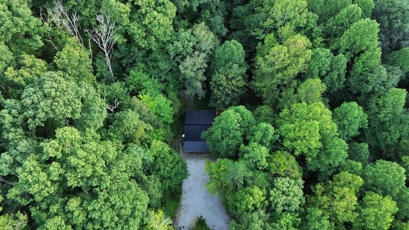 Secluded forest cabin surrounded by lush trees and total privacy